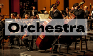 Orchestra